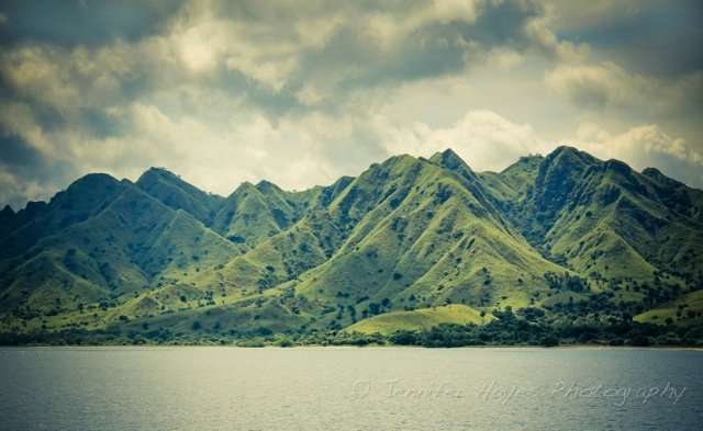 Komodo Green