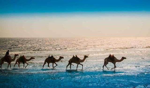 Caravan by Sea