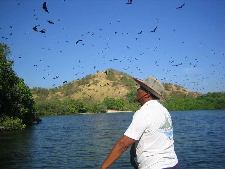 Day 13 – The flying foxes