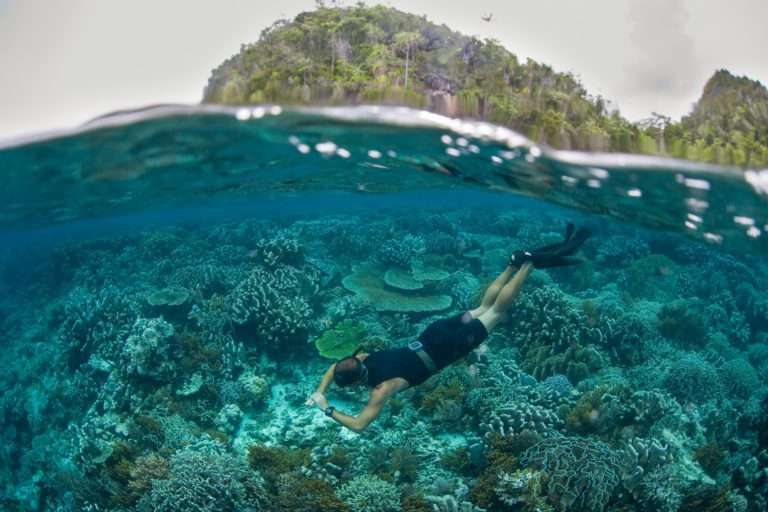 Snorkeling in Raja Ampat
