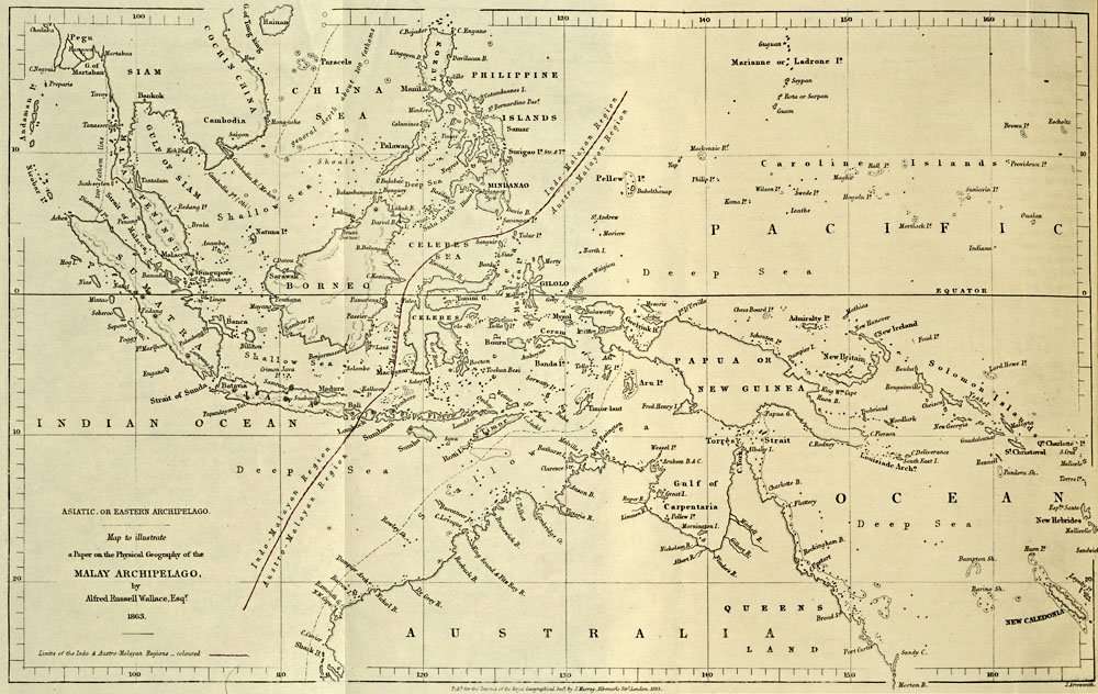 The Wallace Line (in dark red). Sulawesi is labelled with its former name of Celebes.