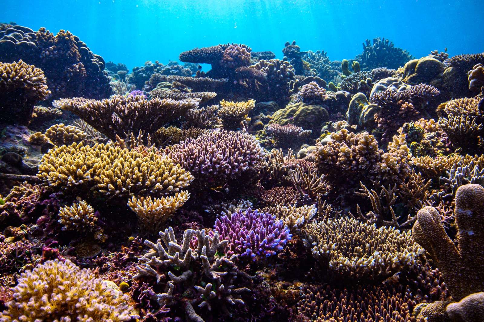 WhatsApp Image 2023-07-25 at 13.07.13