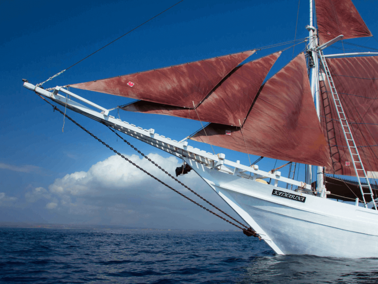 Our Ship - Katharina Sails Up 3