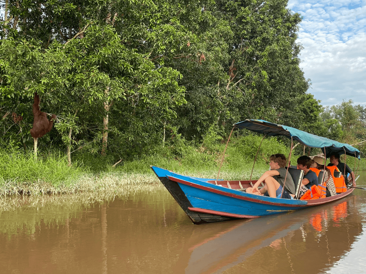 guests cruising the river to see the bornean orangutan