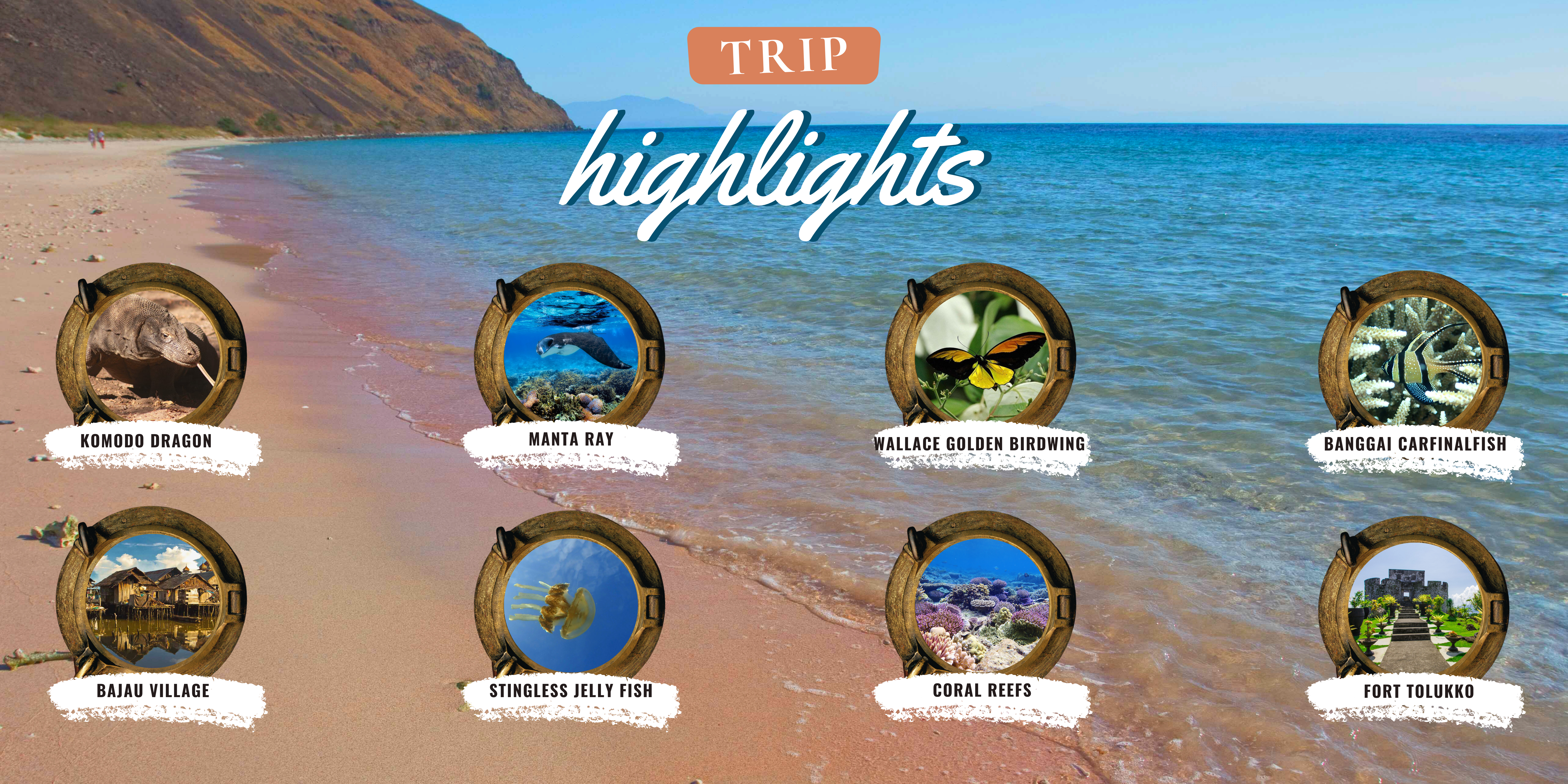 TRIP HIGHLIGHTS -Seatrek (3)