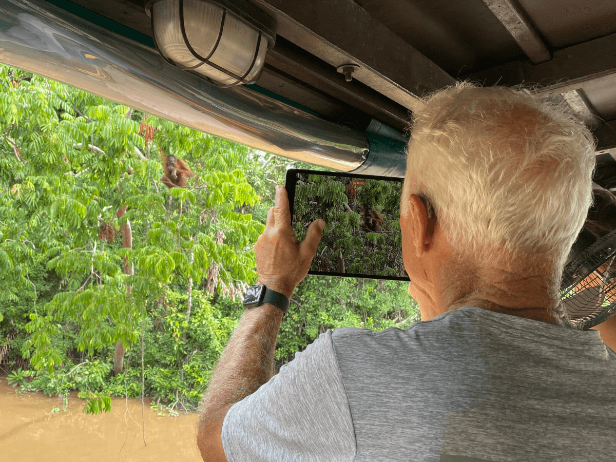 guest taking picture of the orangutan