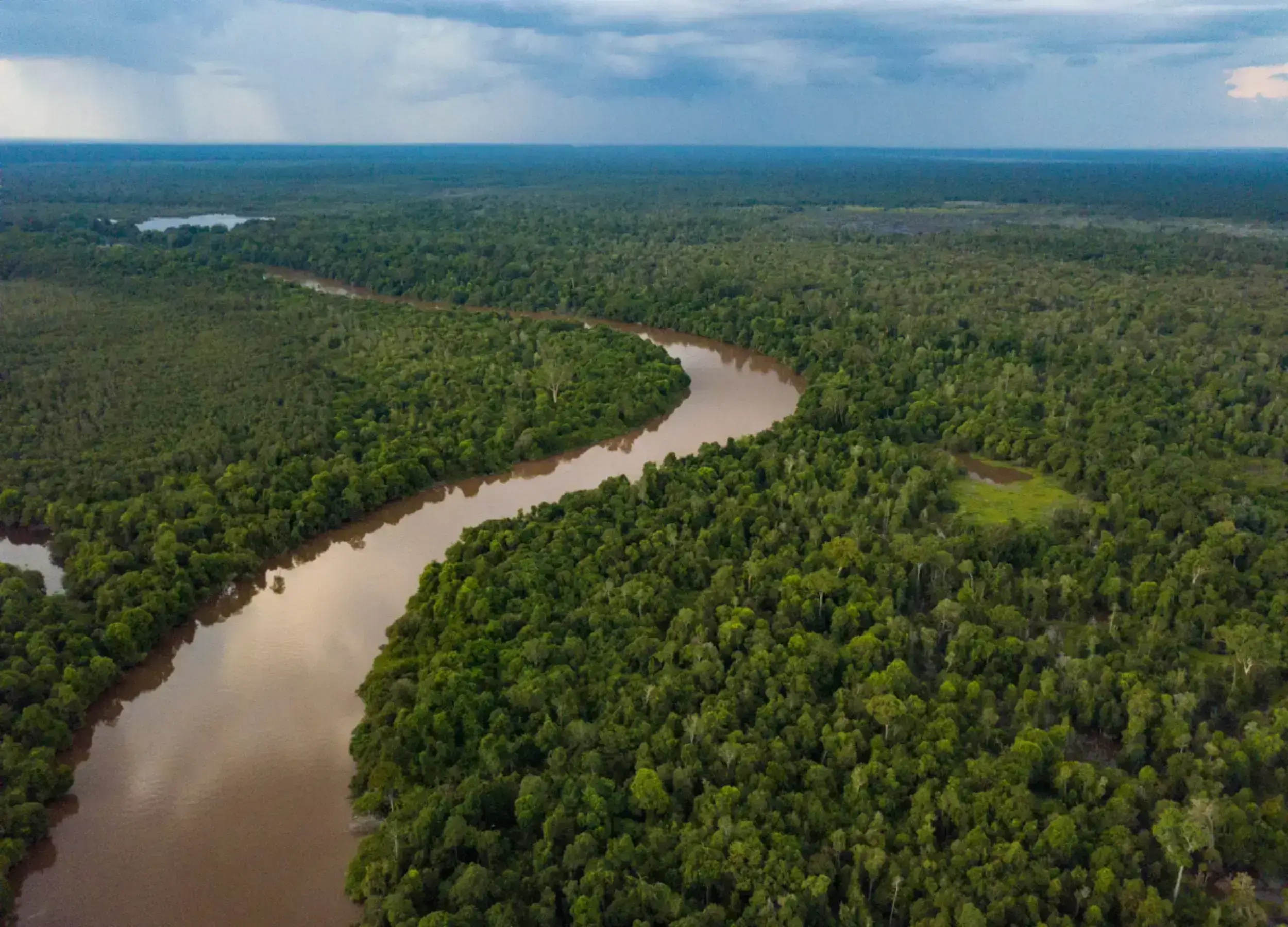 Kahayan River and Kalimantan Forest