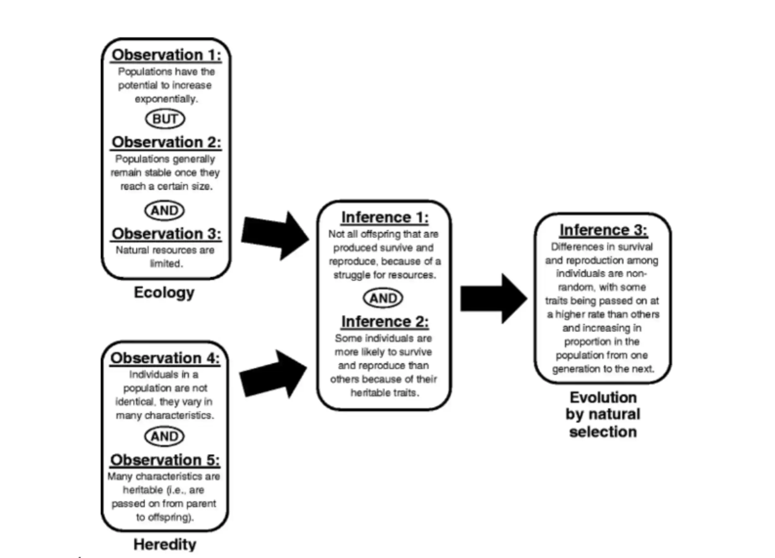 The theory of evolution by natural selection